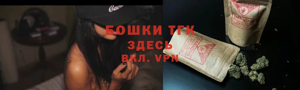 ГАЛЛЮЦИНОГЕННЫЕ ГРИБЫ Армянск