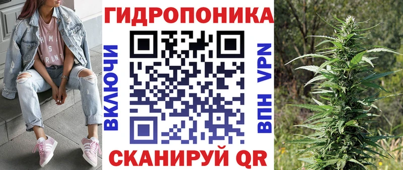 что такое наркотик  Алатырь  Бошки Шишки LSD WEED 